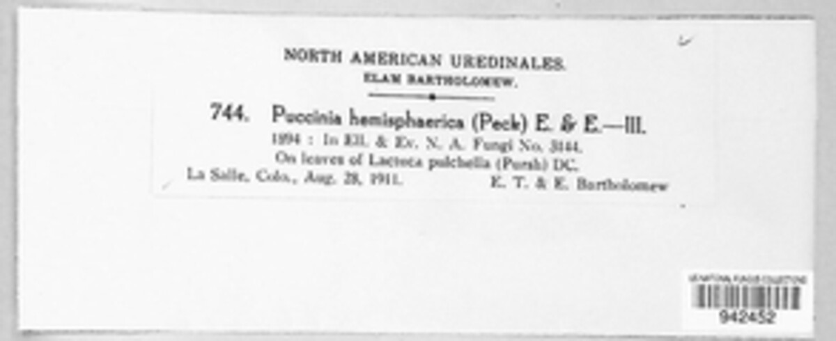Puccinia hemisphaerica image